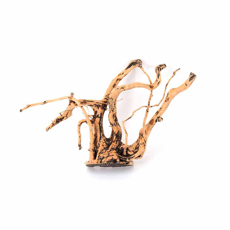 Aquarium Plants For Sale - ขายส่งไม้ลอยน้ำตกแต่งตู้ปลาธรรมชาติ ต้นไม้น้ำสำหรับตู้ปลา