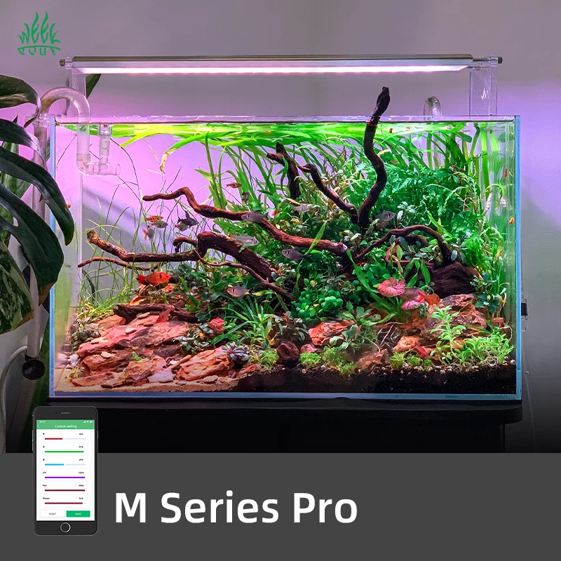 Aquarium Plants For Sale - ไฟ LED สำหรับตู้ปลา ZXY Hot Sales