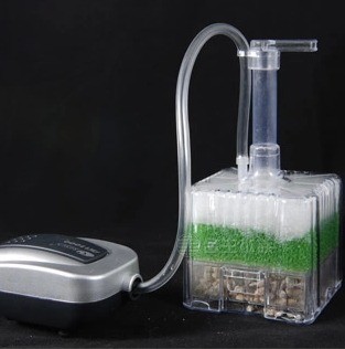 ปั๊มกรองอากาศแบบใช้ลม xinyou x - Aquarium Plant Ideas บทวิจารณ์และราคา