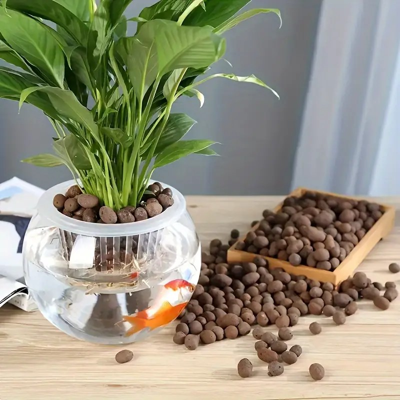 เม็ดดินเผาน้ําหนักเบาและระบายอ - Aquarium Planted Plants บทวิจารณ์และราคา