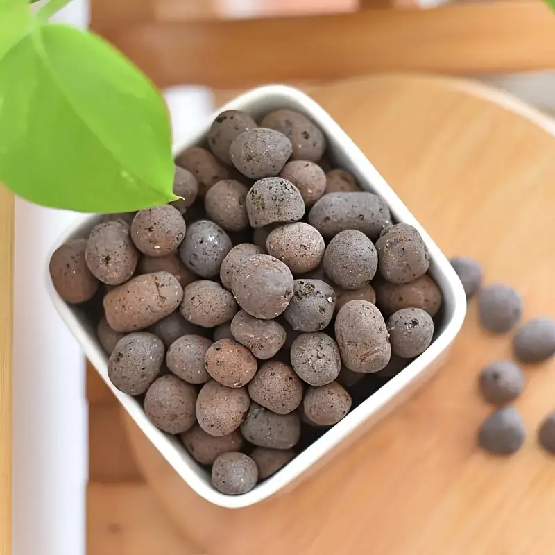 เม็ดดินเผาน้ําหนักเบาและระบายอ - Aquarium Planted Plants บทวิจารณ์และราคา