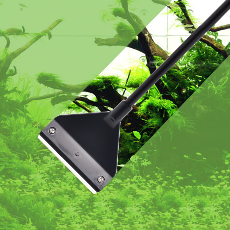 พิพิธภัณฑ์สัตว์น้ําสาหร่ายRemo - Planted Aquarium Tool Kit บทวิจารณ์และราคา