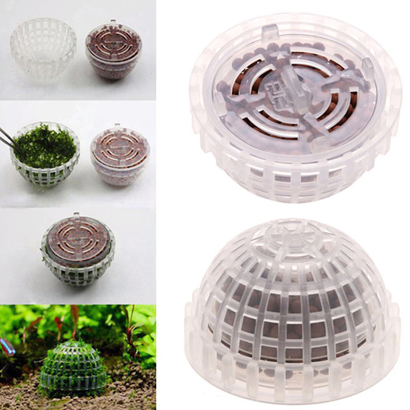 ของตกแต่งตู้ปลา ลดราคา ของใช้ส - Aquarium Plants For Sale บทวิจารณ์และราคา