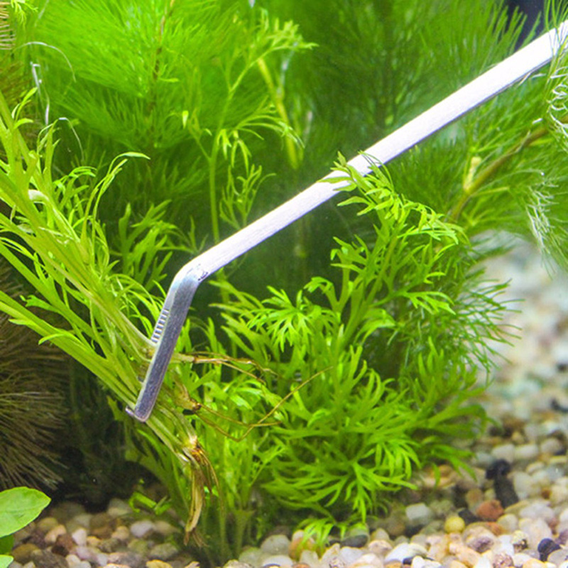 ชุดเครื่องมือบำรุงรักษาตู้ปลาแ - Planted Aquarium Tool Kit บทวิจารณ์และราคา