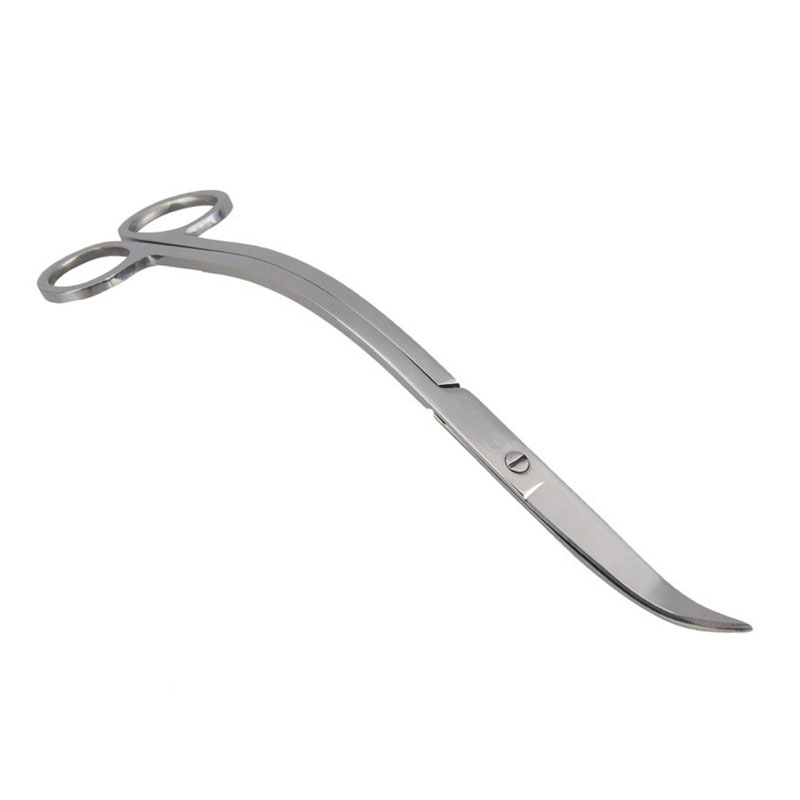 Aquarium กรรไกรชุดเครื่องมือ W - Planted Aquarium Tool Kit บทวิจารณ์และราคา