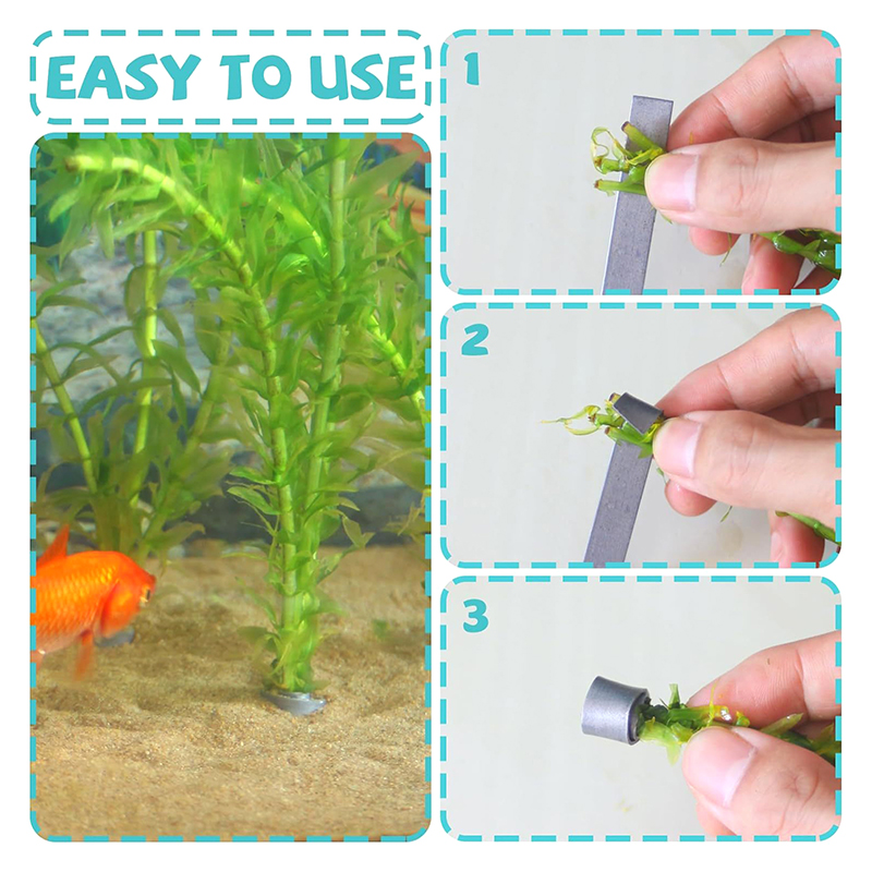 สินค้าลดราคาใหม่ 10 ชิ้น ตุ้มถ - Aquarium Plants For Sale บทวิจารณ์และราคา