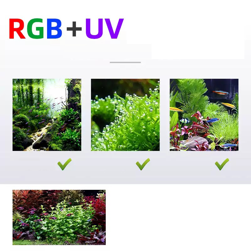 ไฟ LED 60 ซม. 80 ซม. 90 ซม. RG - Aquarium Plants For Sale บทวิจารณ์และราคา