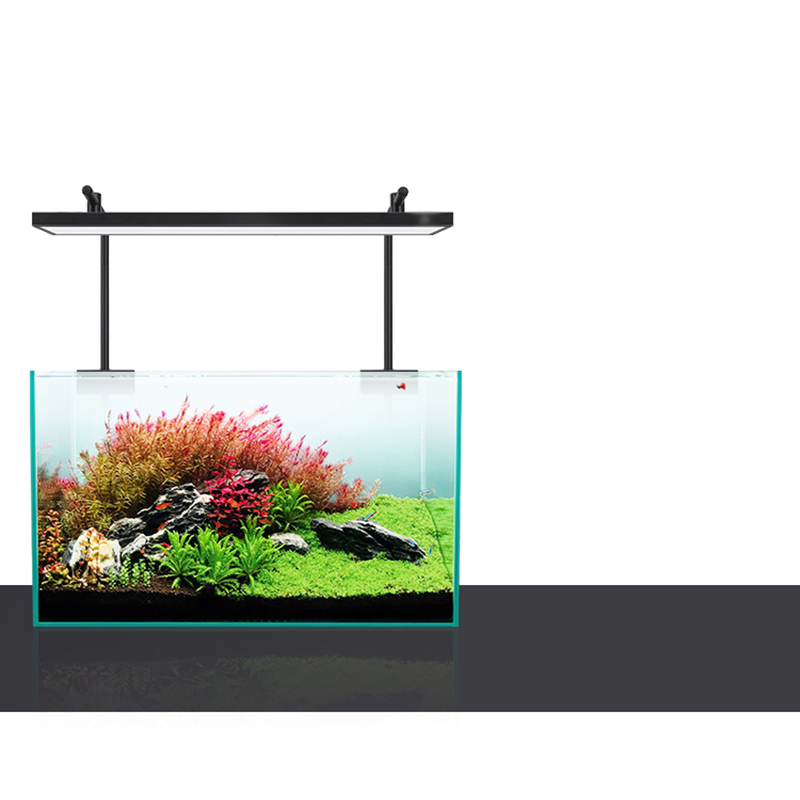 ไฟ LED 60 ซม. 80 ซม. 90 ซม. RG - Aquarium Plants For Sale บทวิจารณ์และราคา