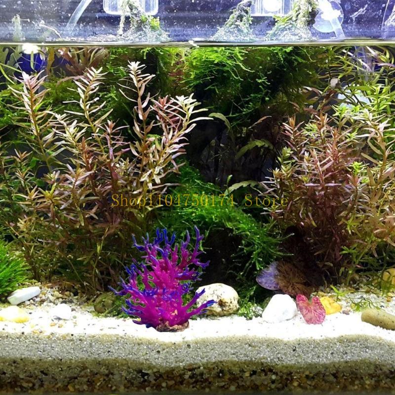 ต้นไม้ประดิษฐ์ตกแต่งต้นไม้ที่ม - Aquarium Plants For Sale บทวิจารณ์และราคา