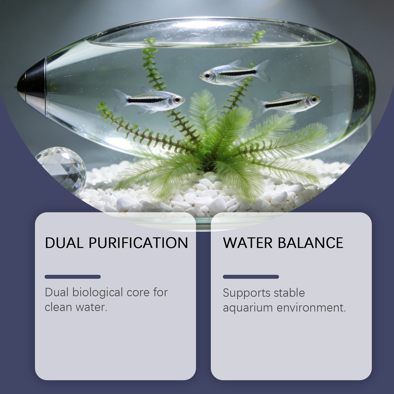 เม็ดกำจัดตะไคร่น้ำสำหรับตู้ปลา - Planted Aquarium Cloudy Water บทวิจารณ์และราคา