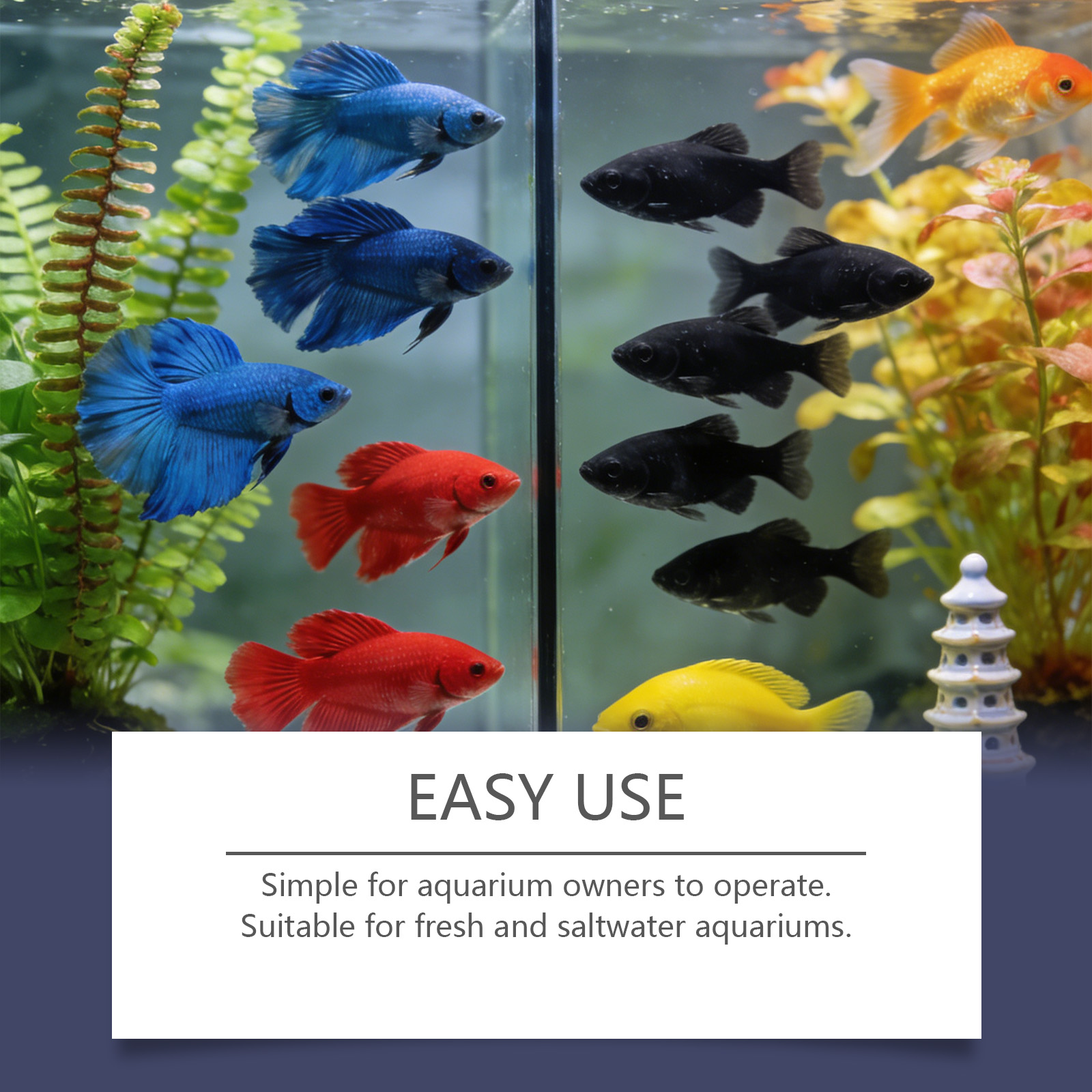 เม็ดกำจัดตะไคร่น้ำสำหรับตู้ปลา - Planted Aquarium Cloudy Water บทวิจารณ์และราคา
