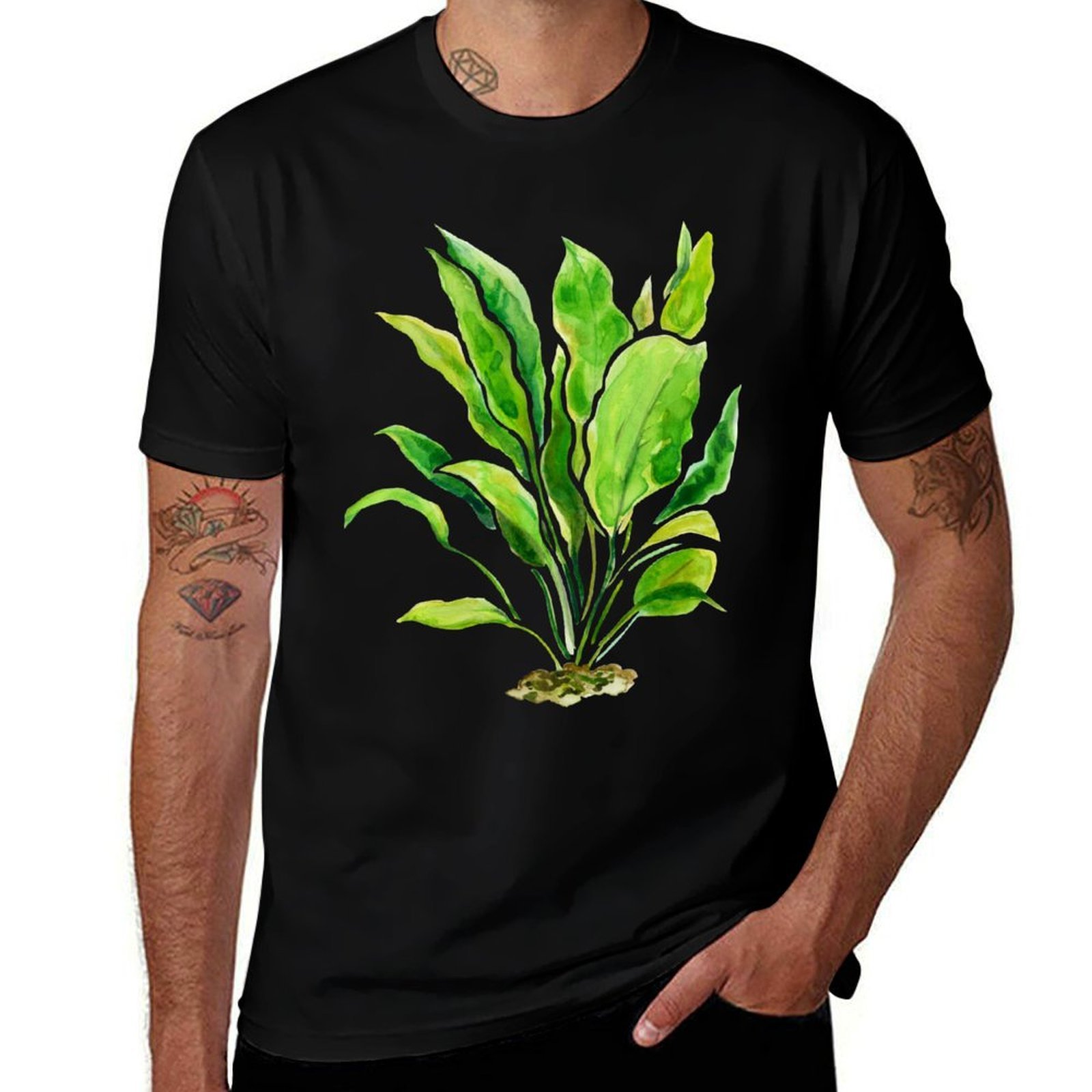 เสื้อยืดลายพืชน้ำซีรีส์ Amazon - Planted Aquarium Basics บทวิจารณ์และราคา