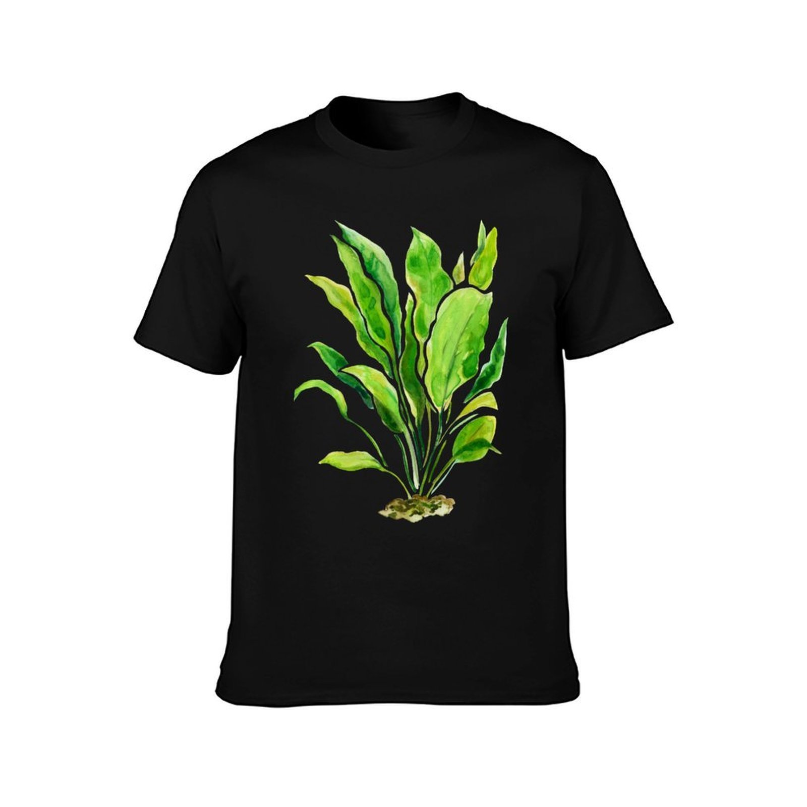 เสื้อยืดลายพืชน้ำซีรีส์ Amazon - Planted Aquarium Basics บทวิจารณ์และราคา
