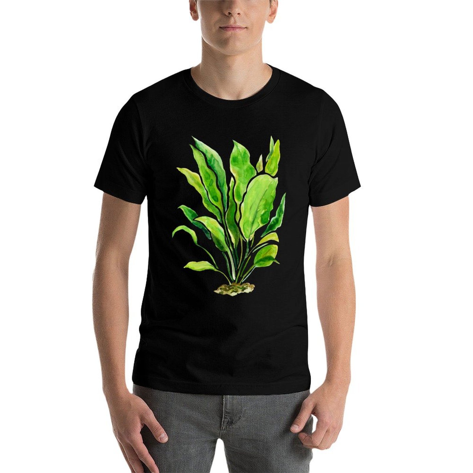 เสื้อยืดลายพืชน้ำซีรีส์ Amazon - Planted Aquarium Basics บทวิจารณ์และราคา