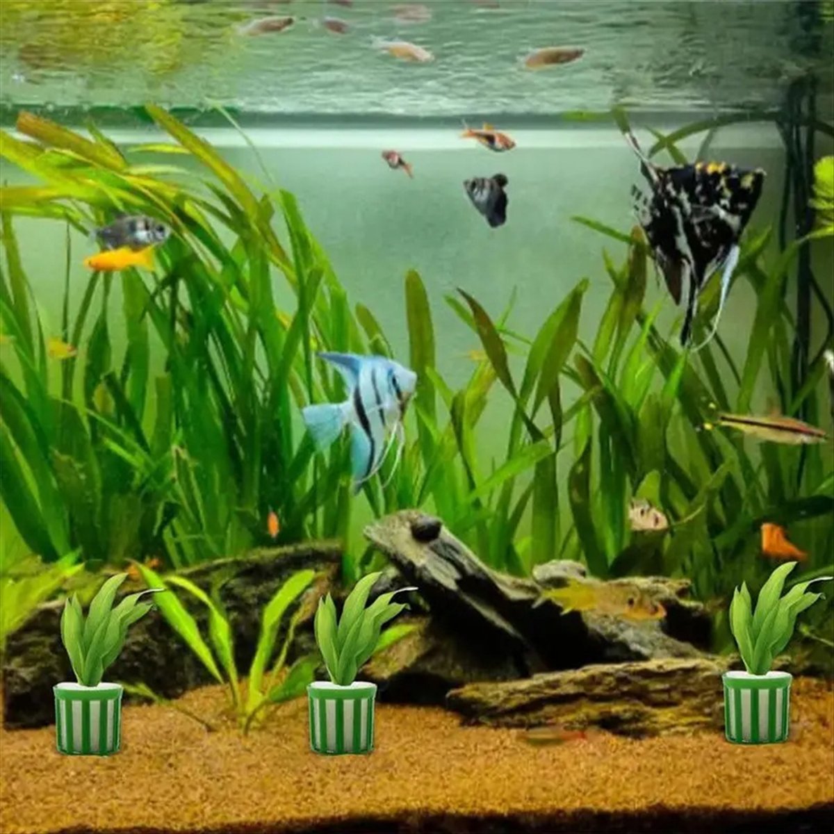 ABNQ ที่ยึดต้นไม้น้ำ 10 ชิ้น ช - Planted Aquarium Tool Kit บทวิจารณ์และราคา