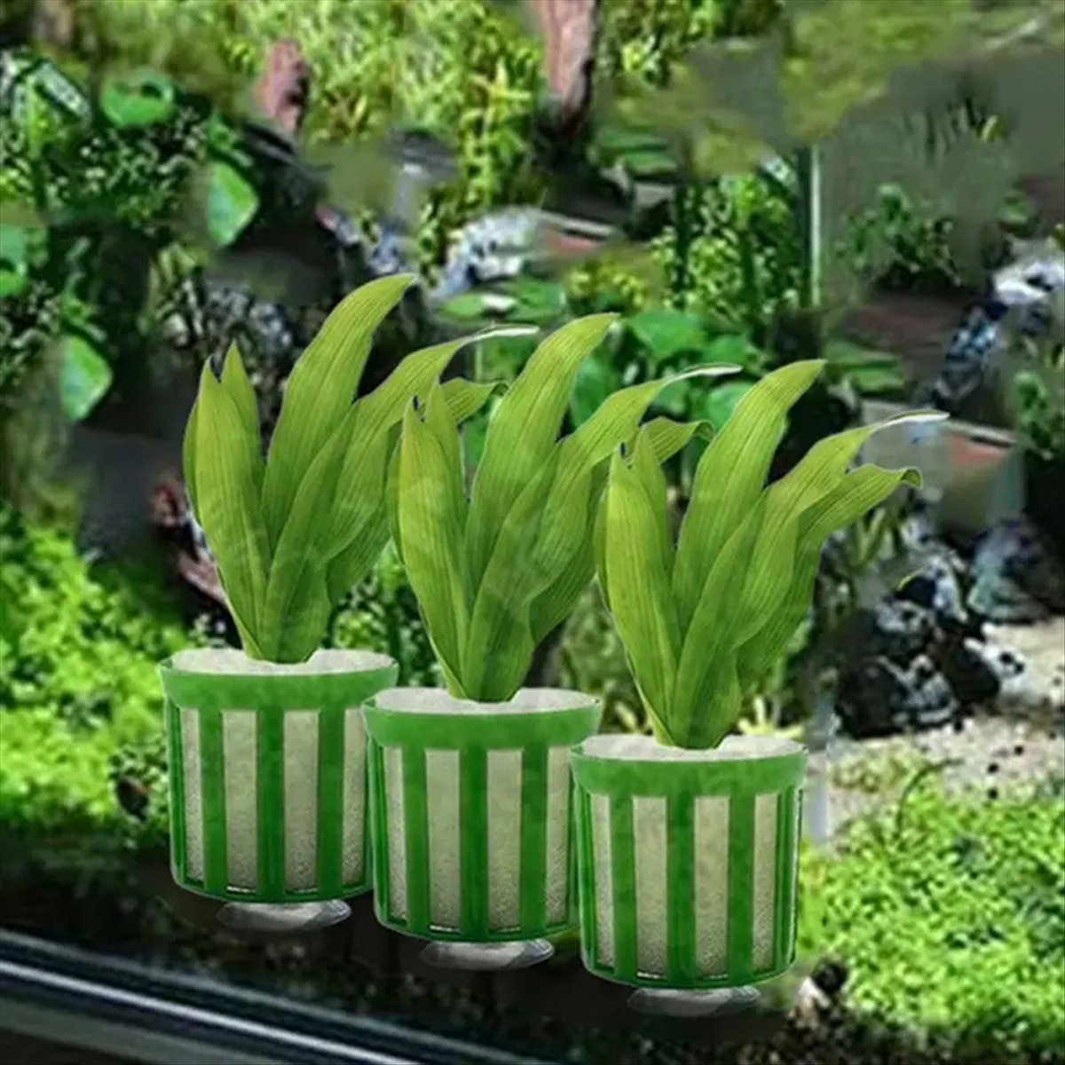 ABNQ ที่ยึดต้นไม้น้ำ 10 ชิ้น ช - Planted Aquarium Tool Kit บทวิจารณ์และราคา